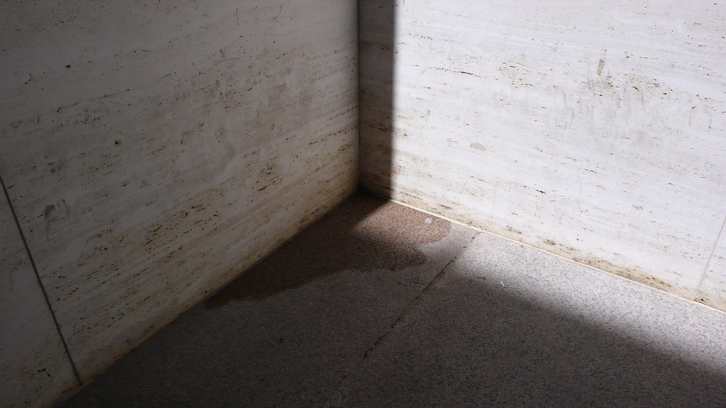 Project Image - 1307